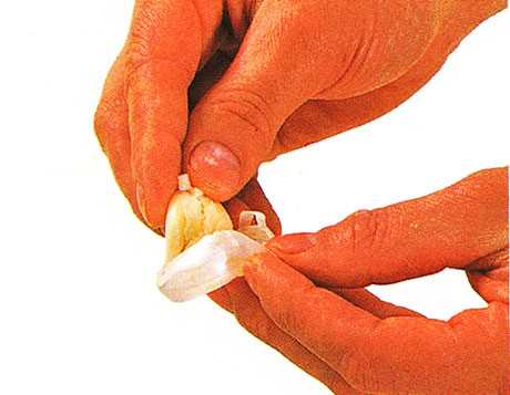 Peel the skin from the garlic clove with your fingers