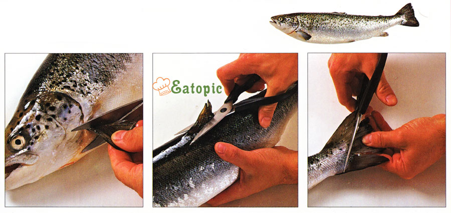 How to Trim A Fish www.eatopic.com