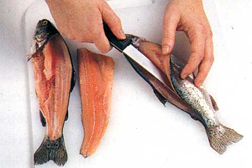 Gutting-a-Fish-How-to-Clean-Fish-How-to-Fillet-a-Fish-step-1
