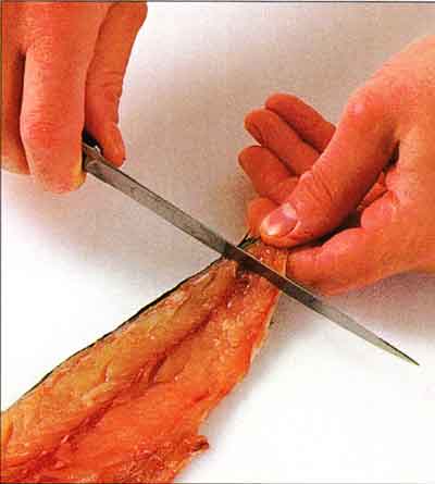 How to Remove Skin from a Fish Fillet-step by step with photo1