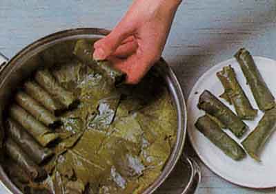 Stuffed-Vine-Leaves-With-Garlic-Yogurt-Mediterranean-step-by-step