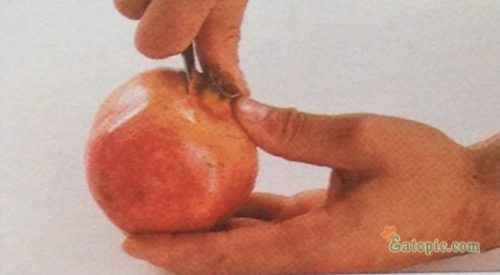 cut-around-the-blossom-end-of-the-fruit-to-remove-it