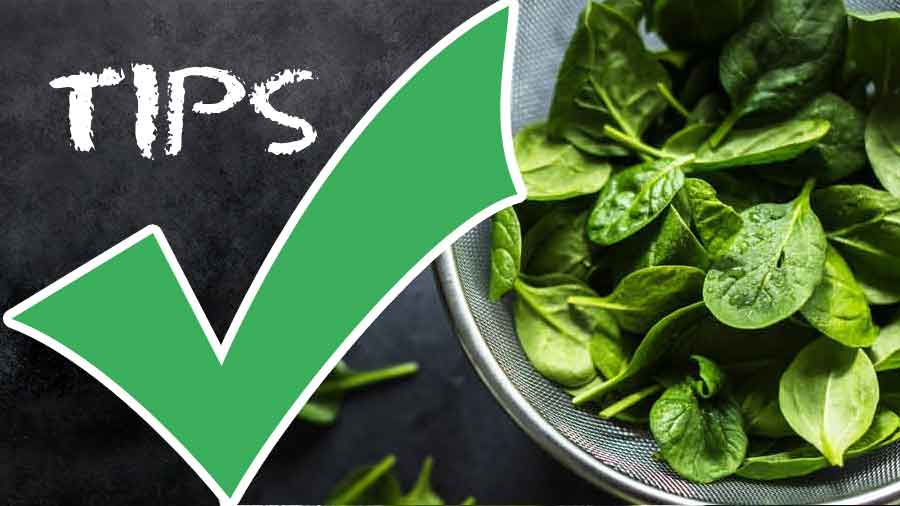 How to Eat Spinach-How to Choose Spinach-Nutrients and Calories in Spinach-tips