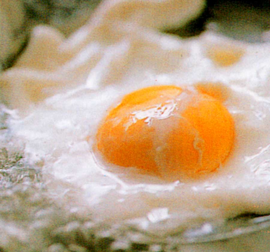 Poach Egg Recipe