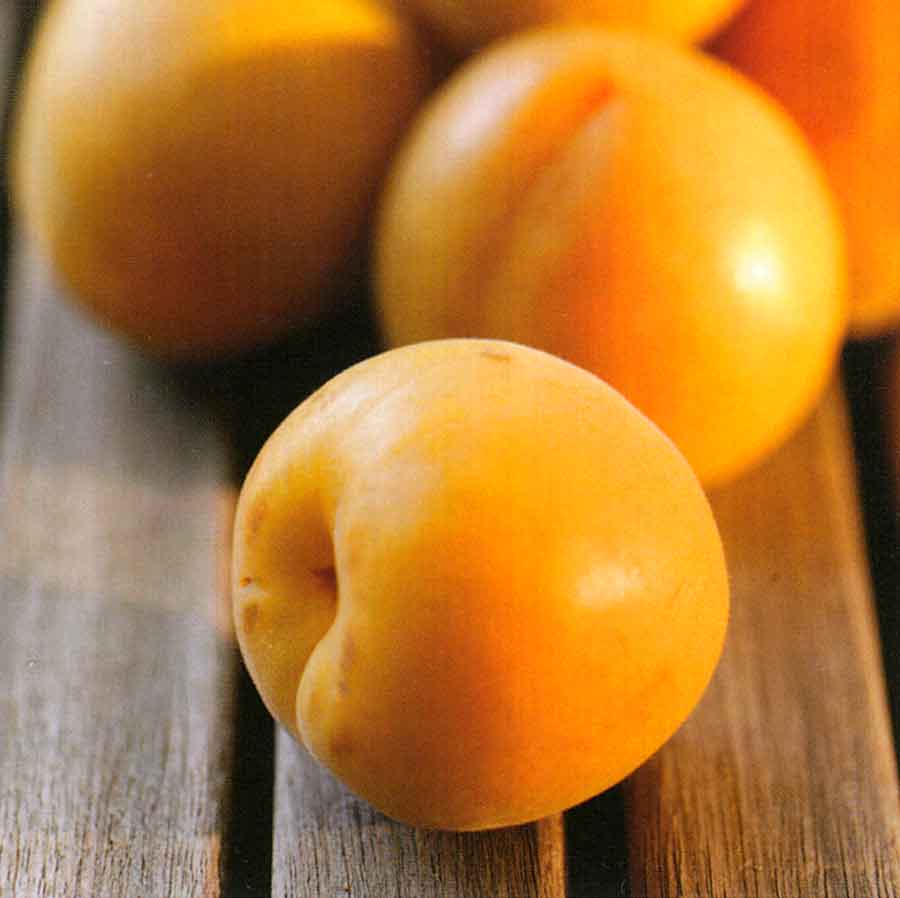 How to Choose, How to Store, How to Use Apricots