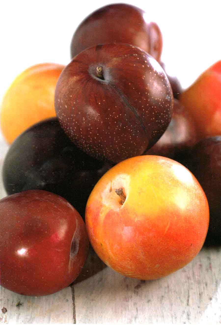 How to Choose Plums-Benefits of Plums and How to Store Plum-How to Store Plum-calories-nutrition facts