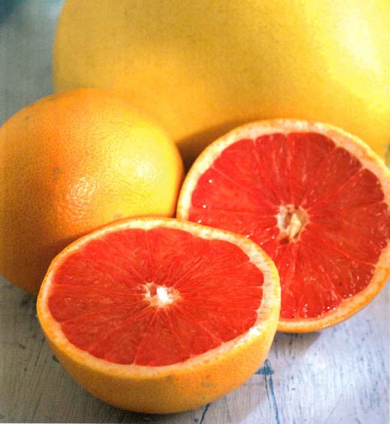 grapefruit nutrition