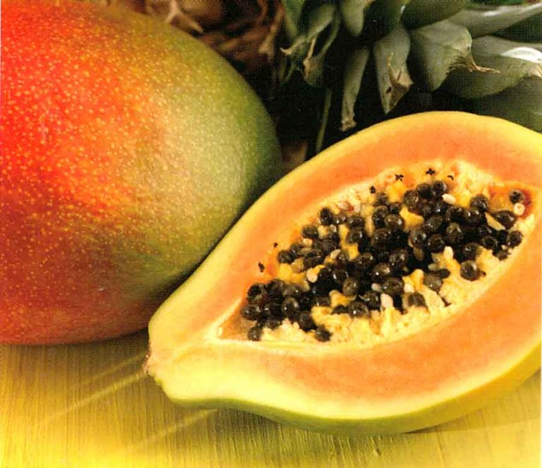How to Store, Choose, Ripen, How to Use Papaya, Benefits of Papaya
