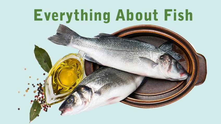 Everything About Fish: How to Choose, How to Store, How to Cook?