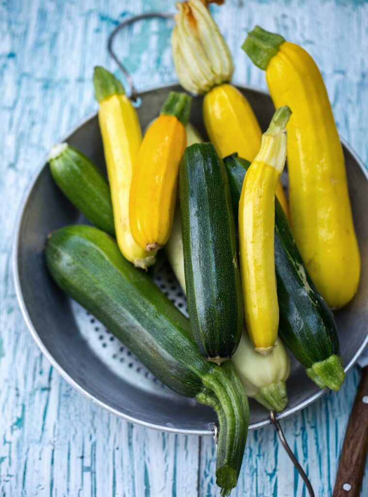 Zucchini / courgette